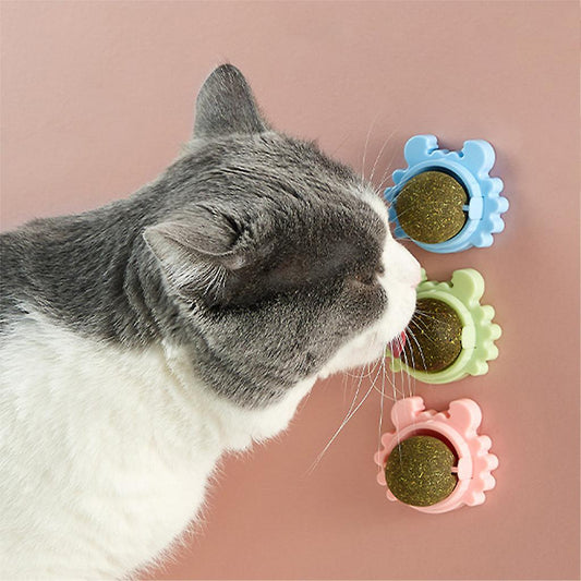 Interactive Catnip Treats™ | Een must-have speeltje voor katten - HYPEBAY NL