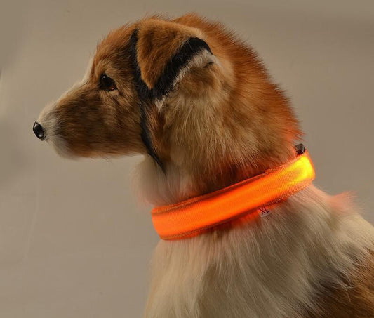 USB oplaadbare LED halsband voor honden - HYPEBAY NL